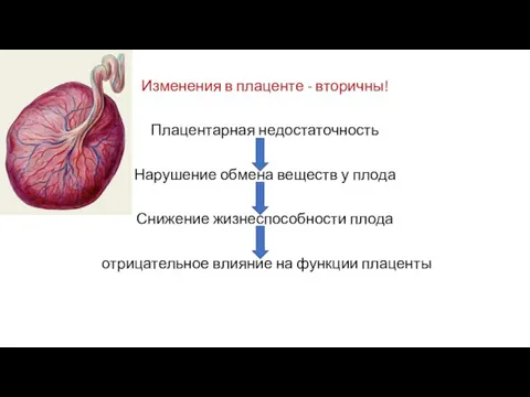 Изменения в плаценте - вторичны! Плацентарная недостаточность Нарушение обмена веществ у плода