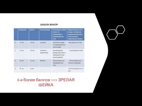 6 и более баллов ==> ЗРЕЛАЯ ШЕЙКА