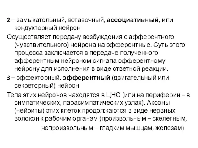 2 – замыкательный, вставочный, ассоциативный, или кондукторный нейрон Осуществляет передачу возбуждения с