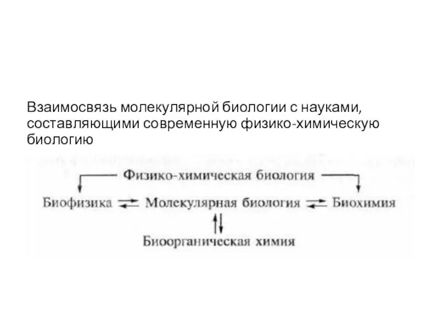 Взаимосвязь молекулярной биологии с науками, составляющими современную физико-химическую биологию