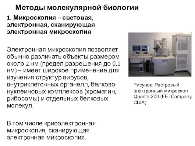 Методы молекулярной биологии 1. Микроскопия – световая, электронная, сканирующая электронная микроскопия Электронная