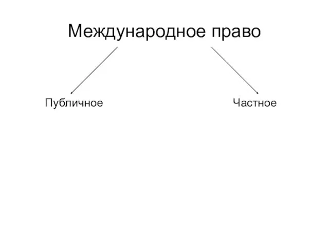 Международное право Публичное Частное