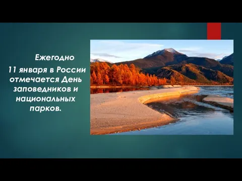 Ежегодно 11 января в России отмечается День заповедников и национальных парков.
