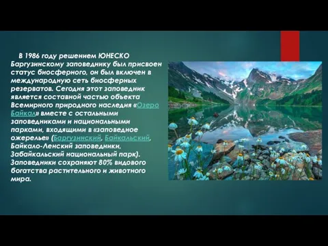 В 1986 году решением ЮНЕСКО Баргузинскому заповеднику был присвоен статус биосферного, он