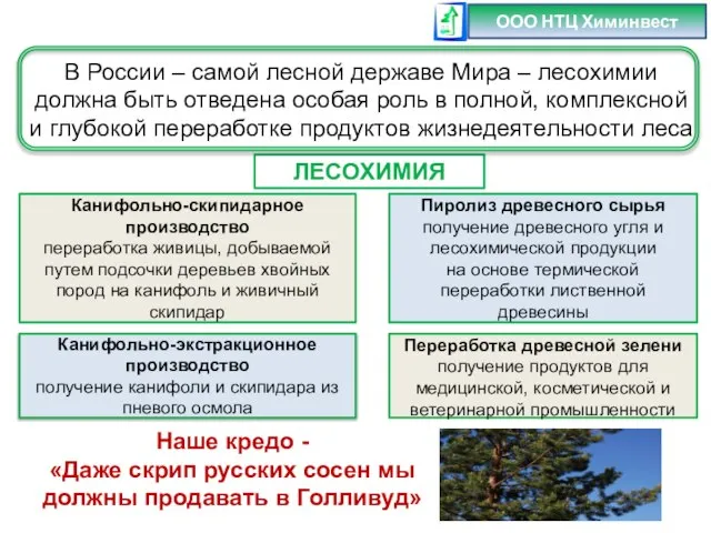 Наше кредо - «Даже скрип русских сосен мы должны продавать в Голливуд»