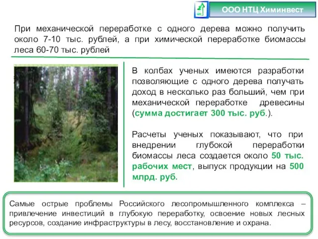 При механической переработке с одного дерева можно получить около 7-10 тыс. рублей,