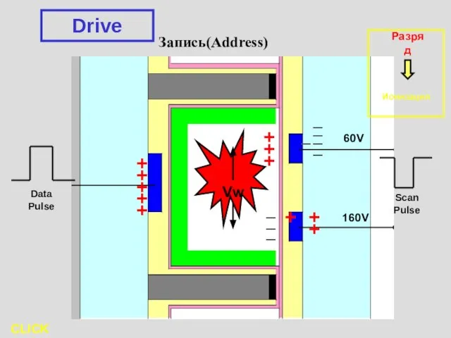 Запись(Address) | | +++++ Data Pulse Scan Pulse Drive CLICK CLICK +++