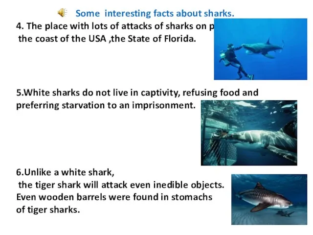Some interesting facts about sharks. 4. The place with lots of attacks