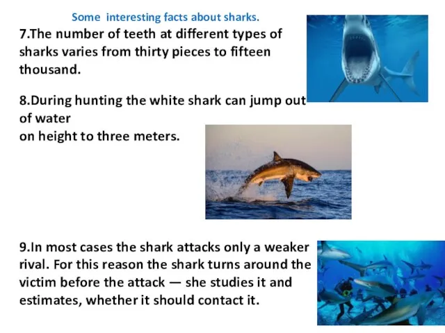 Some interesting facts about sharks. 7.The number of teeth at different types