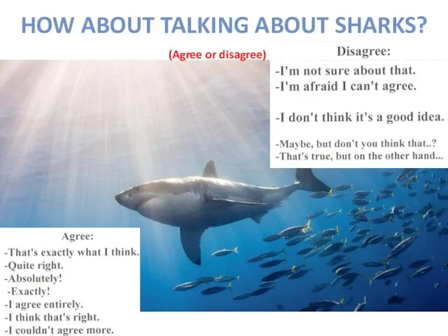 HOW ABOUT TALKING ABOUT SHARKS? (Agree or disagree)