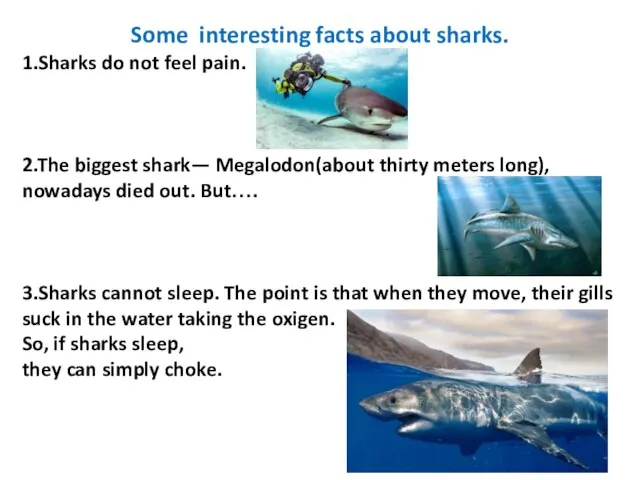 Some interesting facts about sharks. 1.Sharks do not feel pain. 2.The biggest