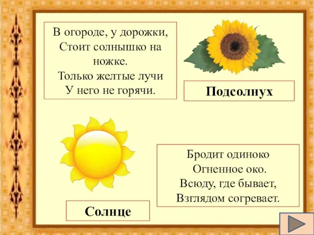 В огороде, у дорожки, Стоит солнышко на ножке. Только желтые лучи У