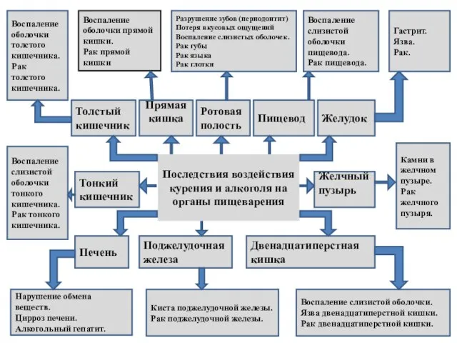 Последствия воздействия курения и алкоголя на органы пищеварения Воспаление слизистой оболочки тонкого