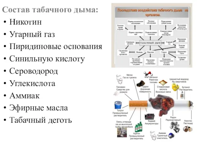 Состав табачного дыма: Никотин Угарный газ Пиридиновые основания Синильную кислоту Сероводород Углекислота