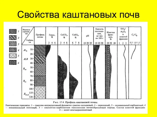 Свойства каштановых почв