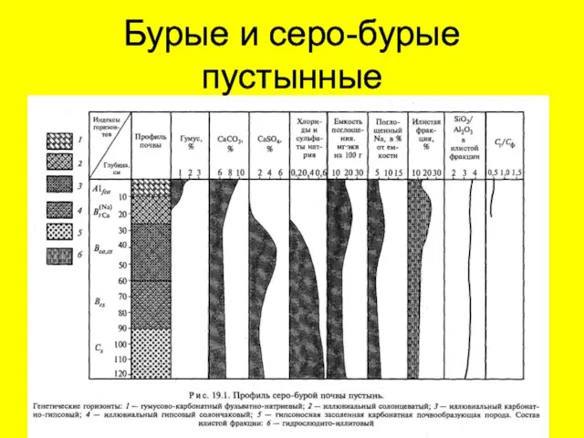 Бурые и серо-бурые пустынные