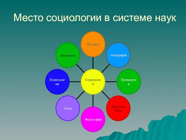 Место социологии в системе наук