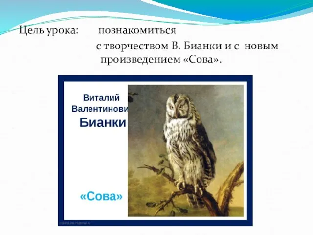 Цель урока: познакомиться с творчеством В. Бианки и с новым произведением «Сова».