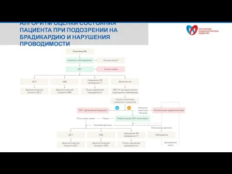 АЛГОРИТМ ОЦЕНКИ СОСТОЯНИЯ ПАЦИЕНТА ПРИ ПОДОЗРЕНИИ НА БРАДИКАРДИЮ И НАРУШЕНИЯ ПРОВОДИМОСТИ