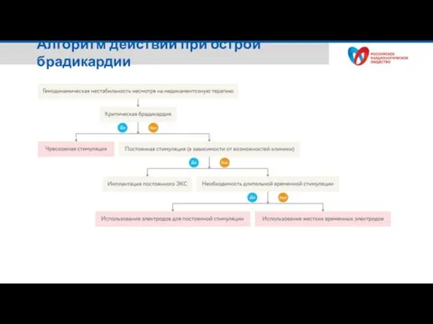 Алгоритм действий при острой брадикардии