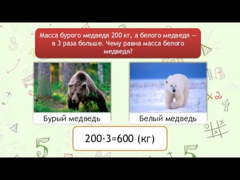 Масса бурого медведя 200 кг, а белого медведя — в 3 раза