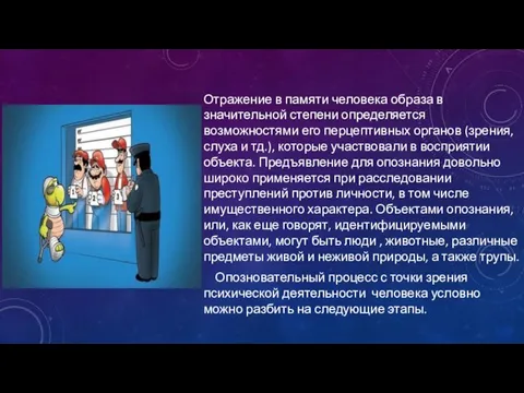 Отражение в памяти человека образа в значительной степени определяется возможностями его перцептивных