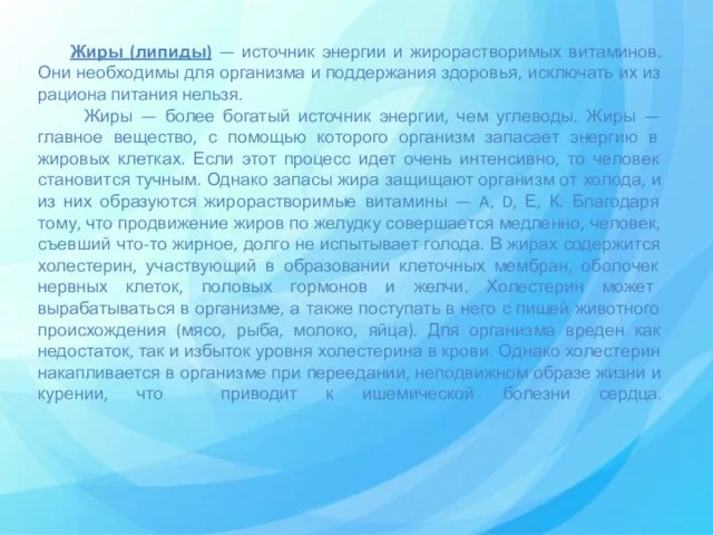 Жиры (липиды) — источник энергии и жирорастворимых витаминов. Они необходимы для организма