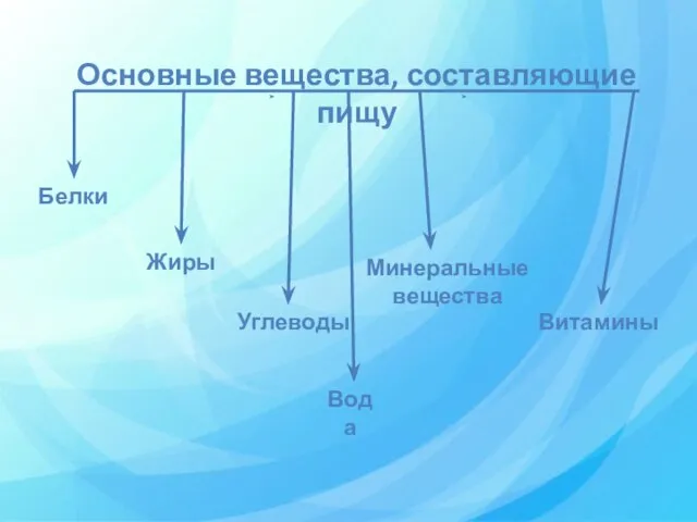 Основные вещества, составляющие пищу Белки Жиры Углеводы Минеральные вещества Витамины Вода