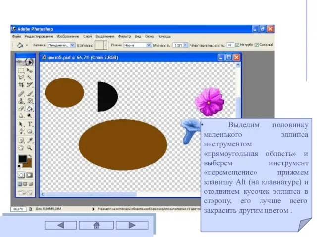 Выделим половинку маленького эллипса инструментом «прямоугольная область» и выберем инструмент «перемещение» прижмем