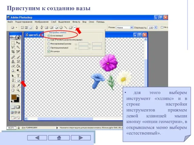 Приступим к созданию вазы для этого выберем инструмент «эллипс» и в строке