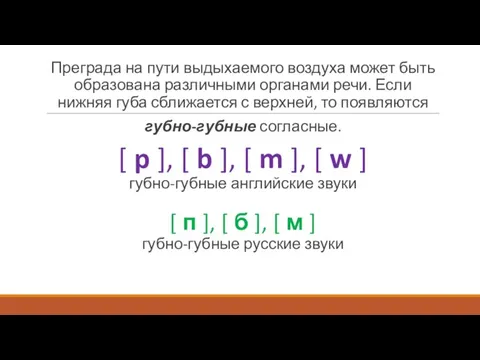 Преграда на пути выдыхаемого воздуха может быть образована различными органами речи. Если