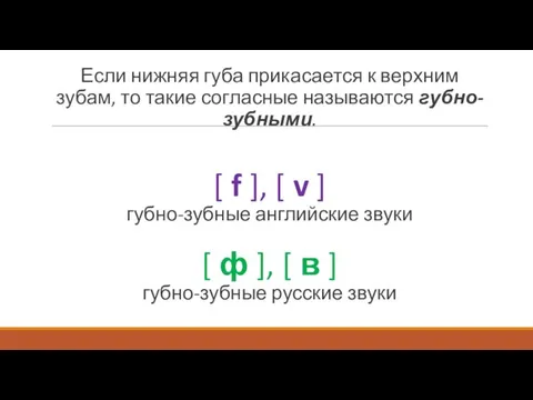 Если нижняя губа прикасается к верхним зубам, то такие согласные называются губно-зубными.