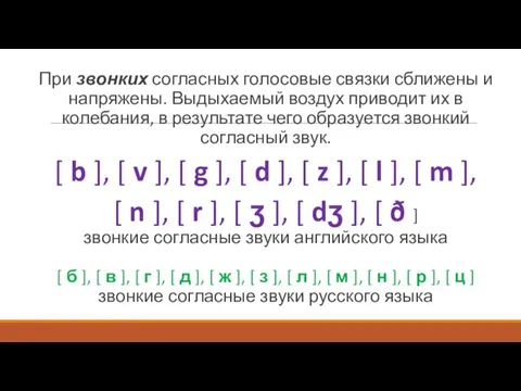 При звонких согласных голосовые связки сближены и напряжены. Выдыхаемый воздух приводит их