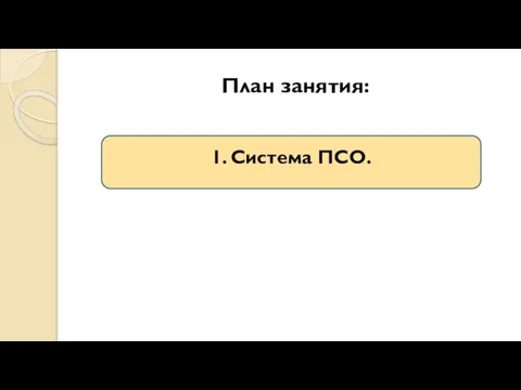 План занятия: 1. Система ПСО.