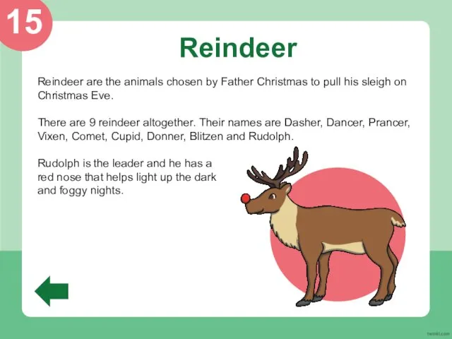 Reindeer Reindeer are the animals chosen by Father Christmas to pull his