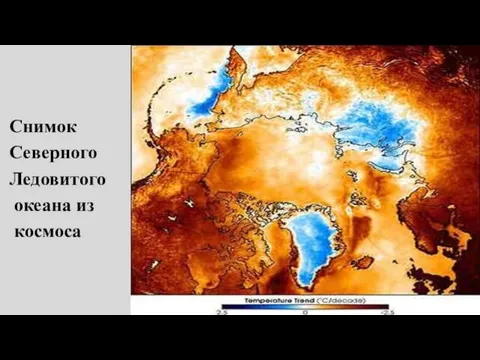 Снимок Северного Ледовитого океана из космоса