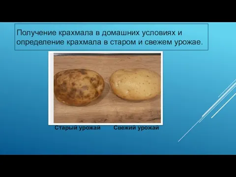 Получение крахмала в домашних условиях и определение крахмала в старом и свежем