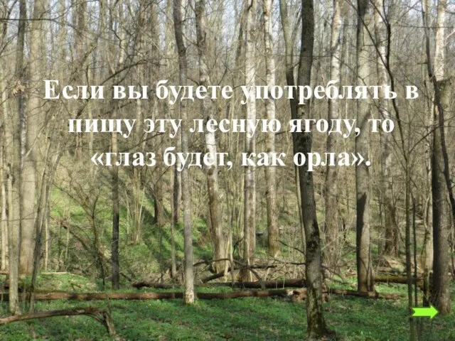 Если вы будете употреблять в пищу эту лесную ягоду, то «глаз будет, как орла».