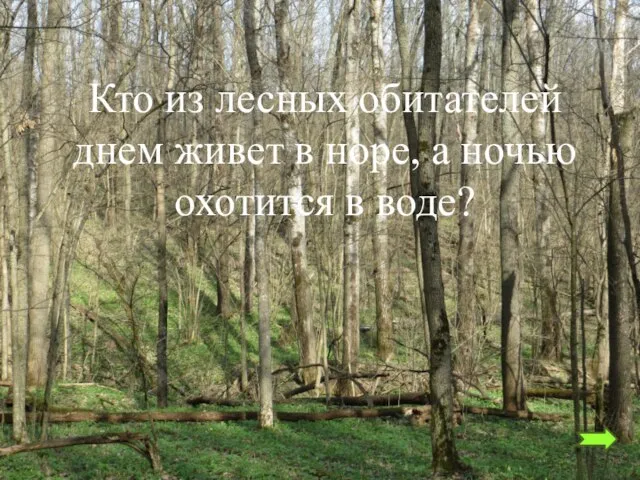 Кто из лесных обитателей днем живет в норе, а ночью охотится в воде?