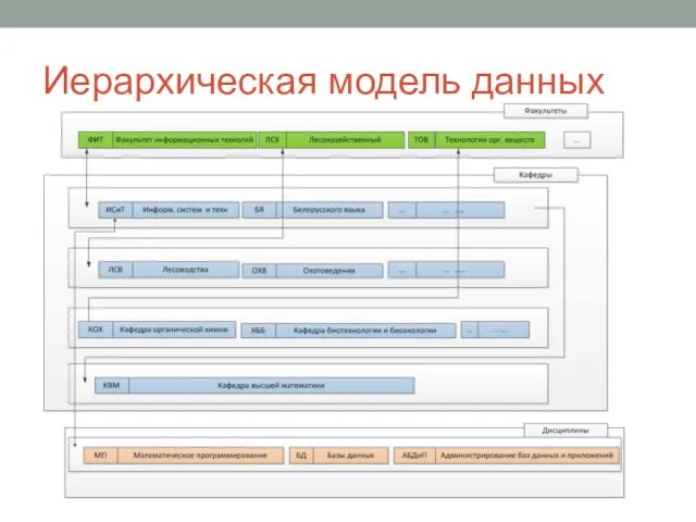 Иерархическая модель данных