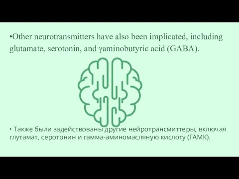 •Other neurotransmitters have also been implicated, including glutamate, serotonin, and γaminobutyric acid