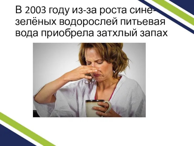 В 2003 году из-за роста сине-зелёных водорослей питьевая вода приобрела затхлый запах