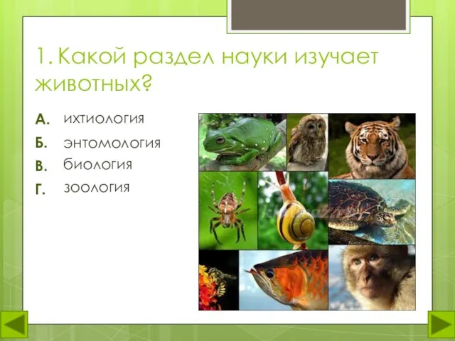 1. Какой раздел науки изучает животных? ихтиология А. Б. В. Г. энтомология биология зоология