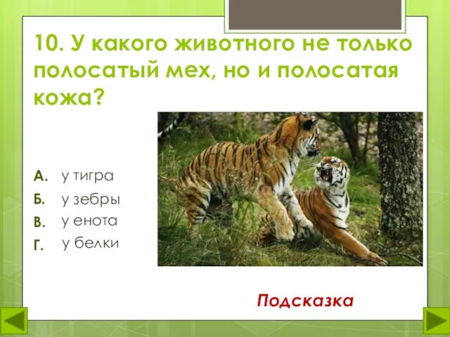 10. У какого животного не только полосатый мех, но и полосатая кожа?