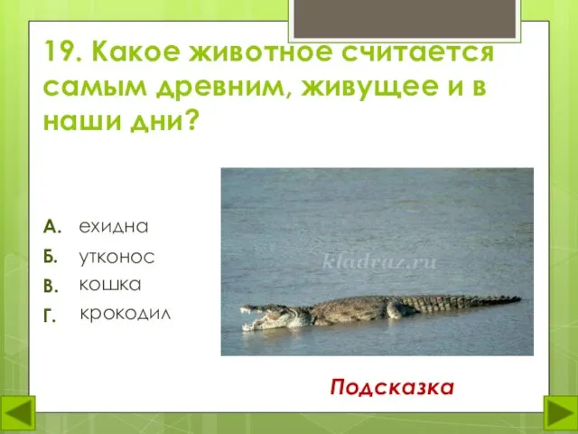 19. Какое животное считается самым древним, живущее и в наши дни? ехидна