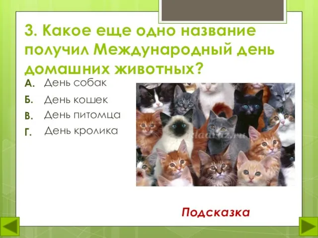 3. Какое еще одно название получил Международный день домашних животных? День собак