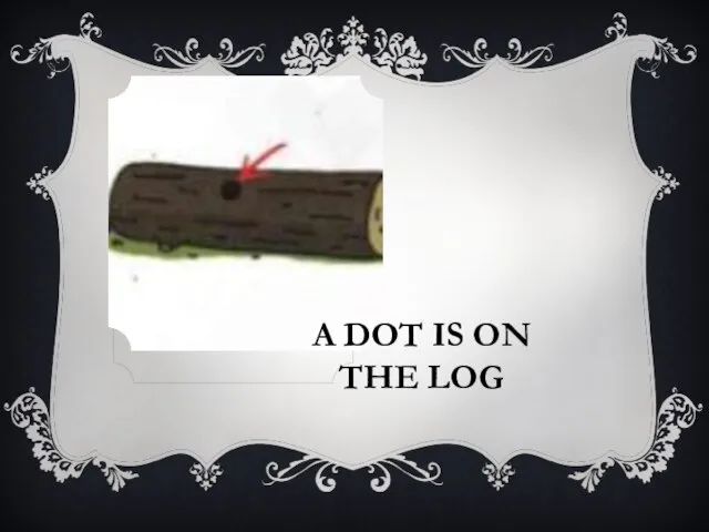 A DOT IS ON THE LOG