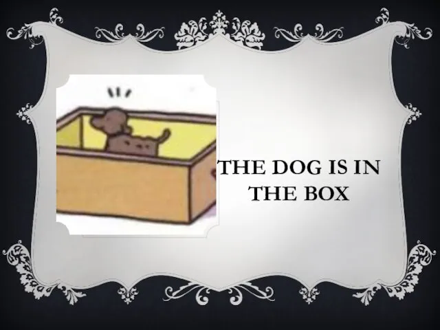 THE DOG IS IN THE BOX