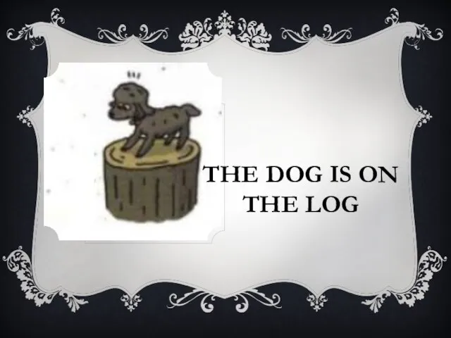 THE DOG IS ON THE LOG