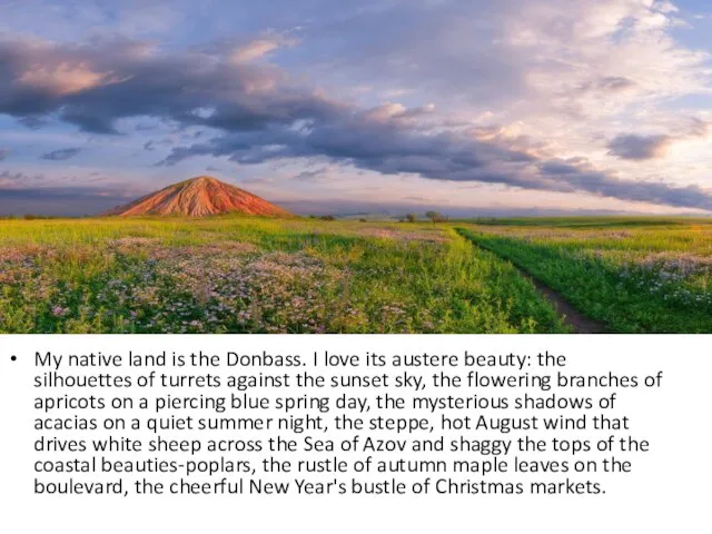My native land is the Donbass. I love its austere beauty: the